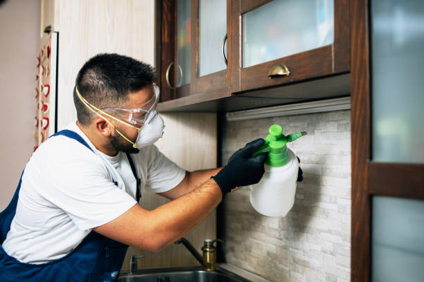  Jekyll Island, GA Pest Control Pros