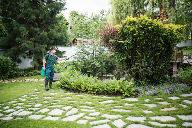 Best Residential Pest Control  in Jekyll Island, GA