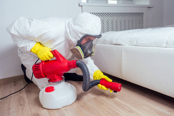 Best Pest Inspection Near Me  in Jekyll Island, GA
