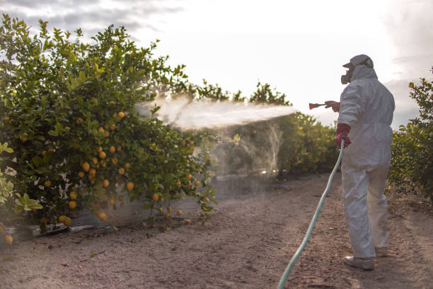 Best Wildlife Control Services  in Jekyll Island, GA