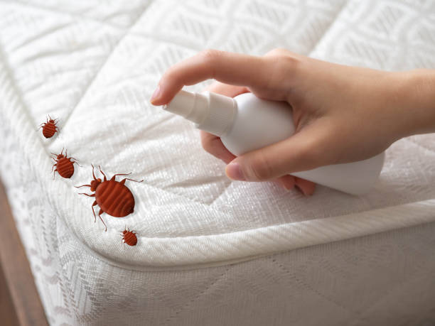 Best Commercial Pest Control Services  in Jekyll Island, GA