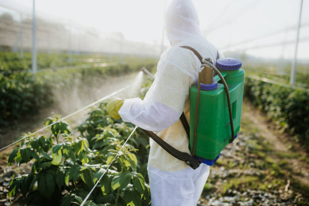 Best Emergency Pest Control  in Jekyll Island, GA